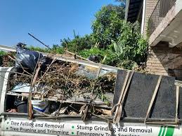 Best Yard Waste Removal  in Rogers, MN